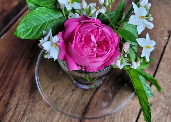 Stazzu La Capretta Farm & Guest Camping Olbia