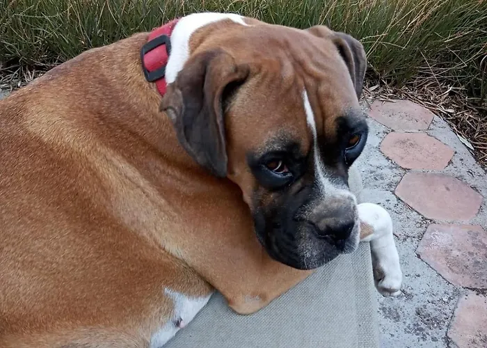 Stazzu La Capretta Farm & Guest Parque de Campismo