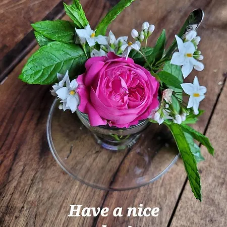 Stazzu La Capretta Farm & Guest Kemping Olbia