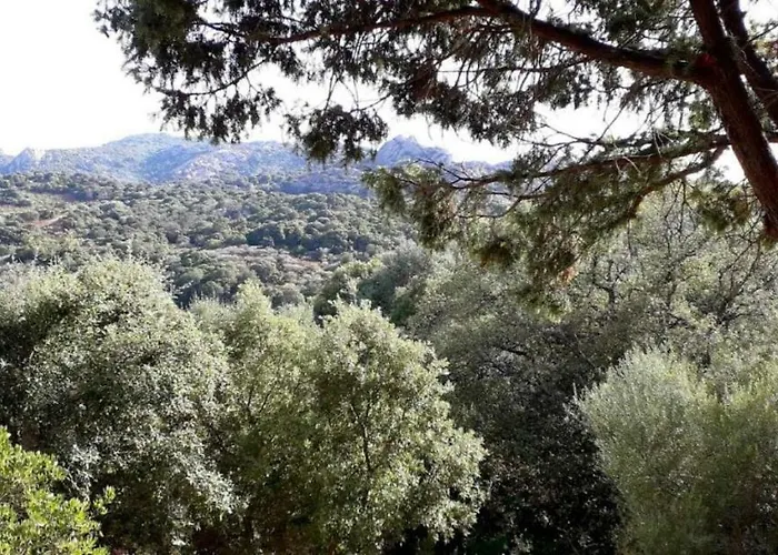 Stazzu La Capretta Farm & Guest Kemping 3*